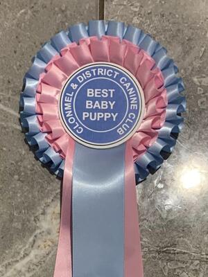 Clonmel Rosette
