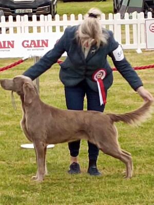 Swords Champ Show 2024