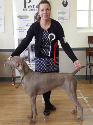 Sligo All Breed March 2015