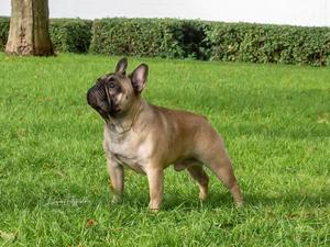 Ernest
