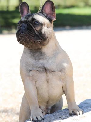 Ernest