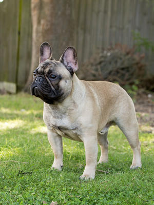 Ernest
