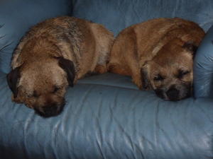 Lilly & Rosie