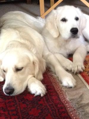 Jessie and a young Sula