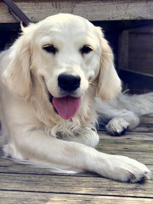 Rosa one year old