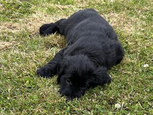 Exhausted