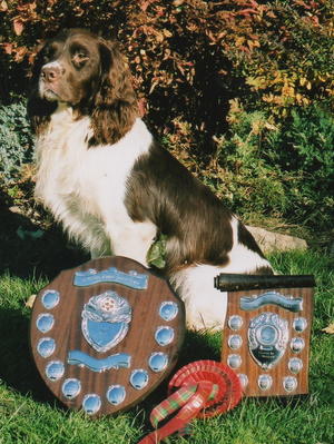 FTW Hestmoor Harrier