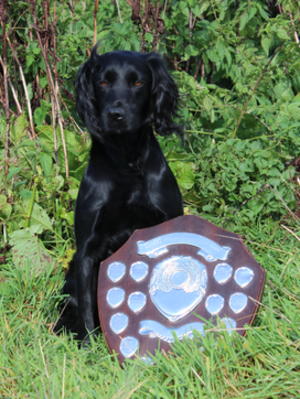 FTW Centrewalk Holly of Hestmoor