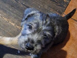 This little girl is no longer available
