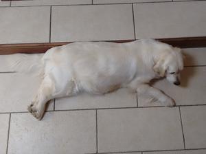 Ruby before