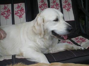 Ruby relaxing.
