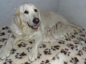 Ruby after