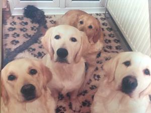 Poppy and room mates.
