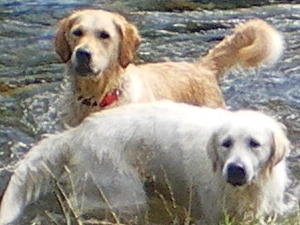 Ruby and her room mate at Ennerdale.