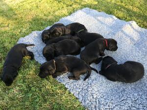 First outing to the garden