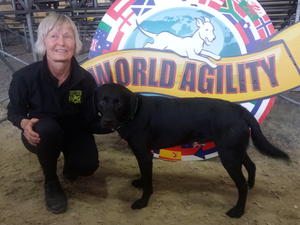 Loki at Word Agility Open 2019