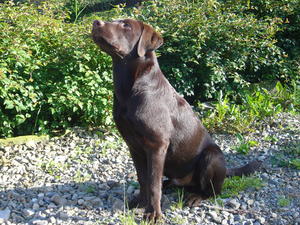Oskar at 6 months old