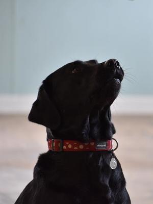 Freya April 2017