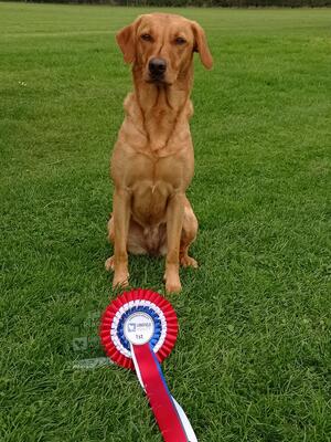 First agility win for Flame August 2021