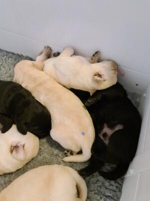 Sleeping