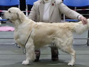 Kevlar at 3 years