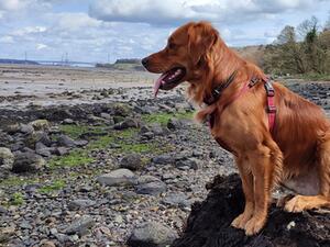 Loves an adventure