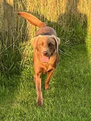 enjoying the sunshine