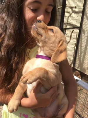 Little boy Available