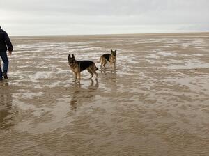 On the beach