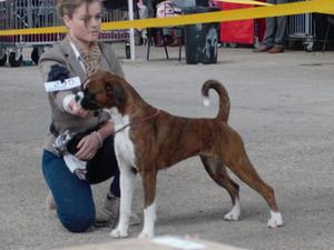 Jamonik Rizzini Omnium