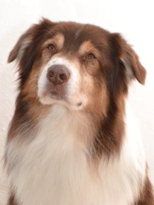 Juno