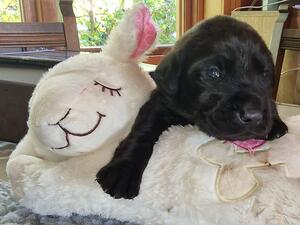 Wonderful bundle of joy.