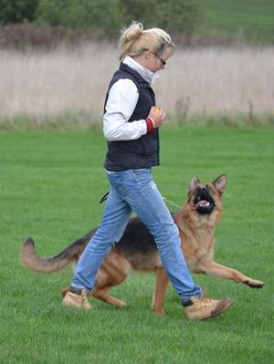 Training for her BH Title