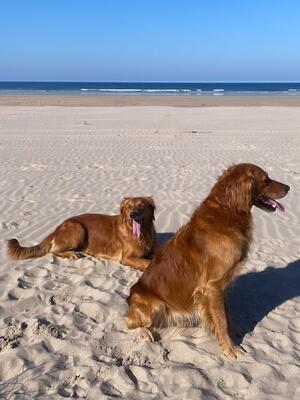Flo & Abel at the beach