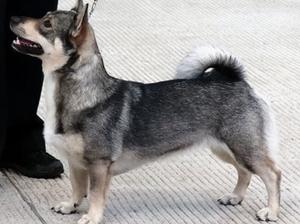 Ella at 20 Months