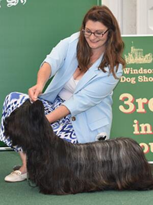 Ferelith winning CC, BOB & G3 at Windsor Ch Show