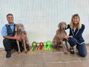 Sebastian BOB & Group 2, Lando BP & Puppy Group 4