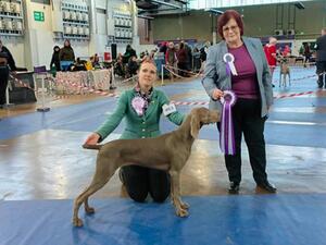 Millie, 7 months, BOB, BP and Puppy Group 1