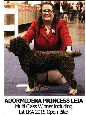 Leia winning Open Bitch at LKA 2015