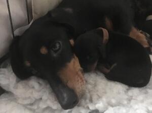 Penny doing what she does best - being a mum