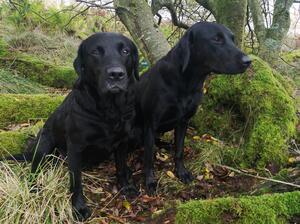 Poppy on right with mum Pip