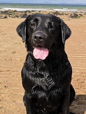Our water Girl!