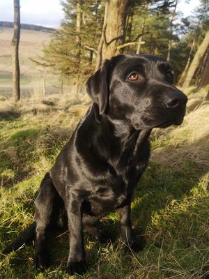 Tilly out working Jan'2024