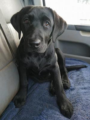 Olive at 5 months