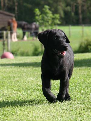 Mum Pippa as a Youngster