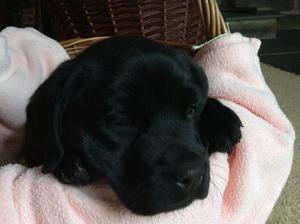 Little boy at 7 weeks old