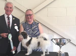 DOTTY RES BEST IN SHOW
