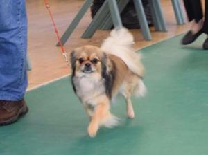 MINNI