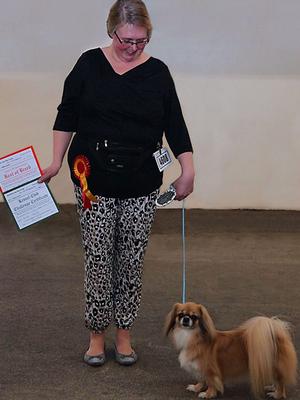 kitty AT MANCHESTER CHAMP SHOW 2015