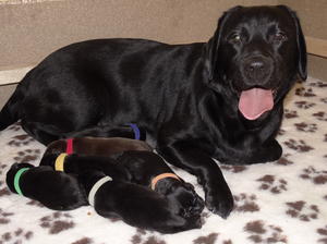 Proud Mummy